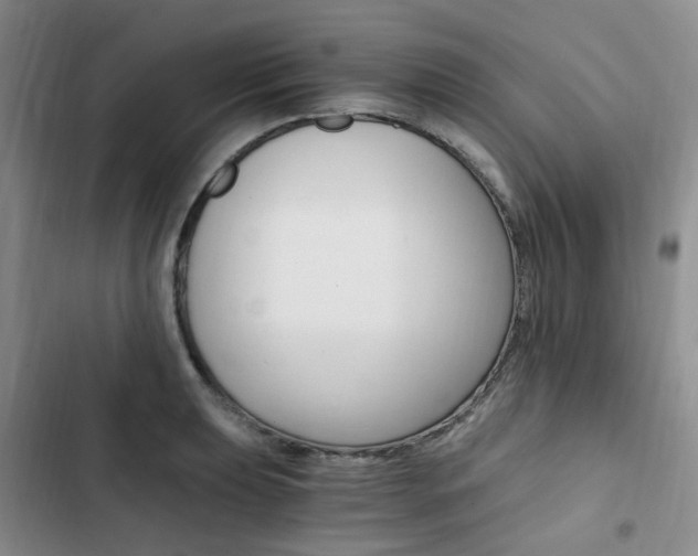 X0000103161039200808221147