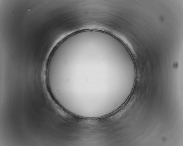 X0000103161040200808221147