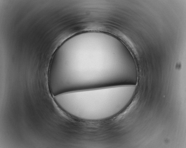 X0000103161041200808221147