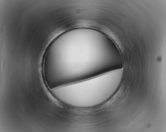 X0000103161042200808221147