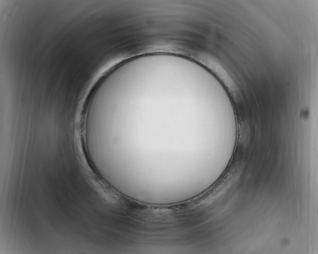 X0000103161043200808221147