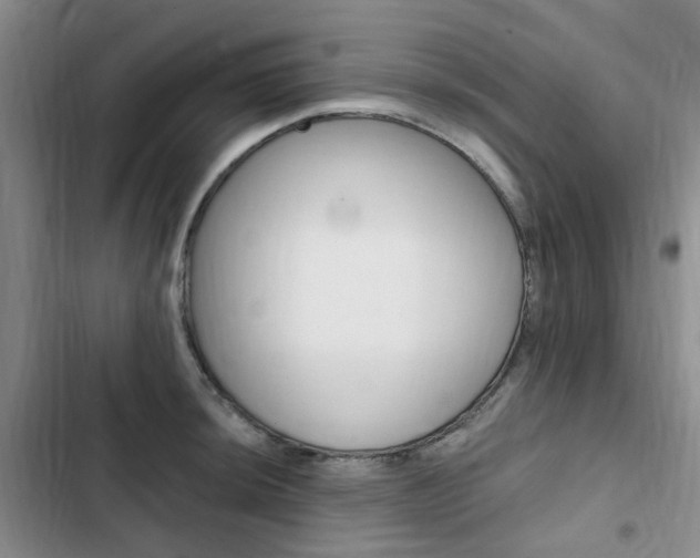 X0000103161044200808221147