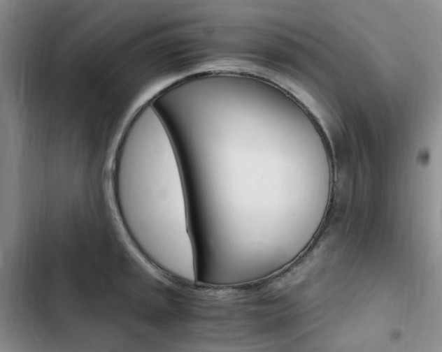 X0000103161045200808221147
