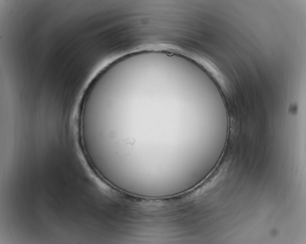 X0000103161046200808221147