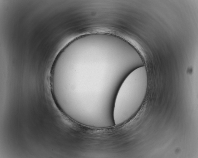 X0000103161047200808221147