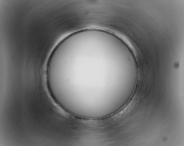 X0000103161048200808221147