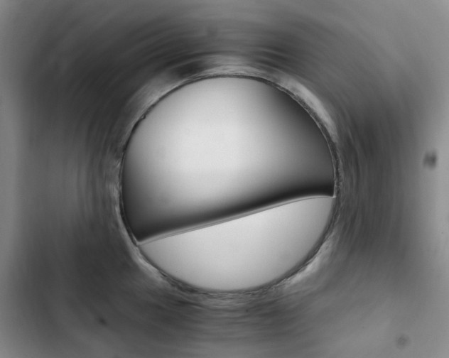 X0000103161049200808221147