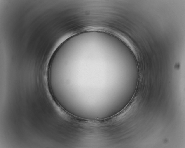 X0000103161050200808221147