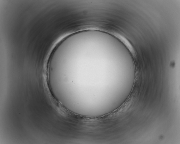 X0000103161051200808221147