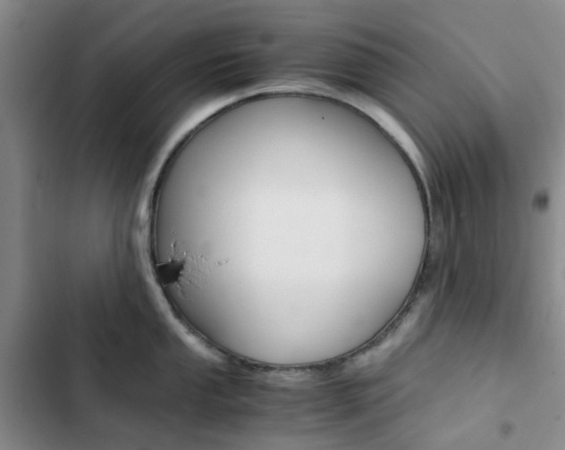 X0000103161053200808221147
