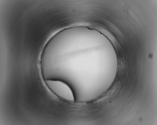 X0000103161055200808221147