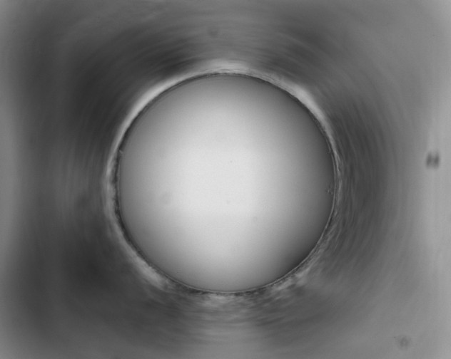 X0000103161056200808221147