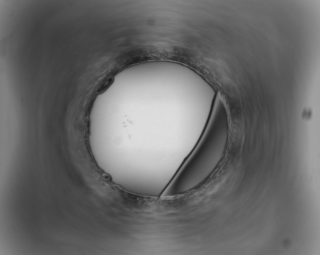 X0000103161057200808221146