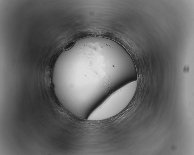 X0000103161058200808221146