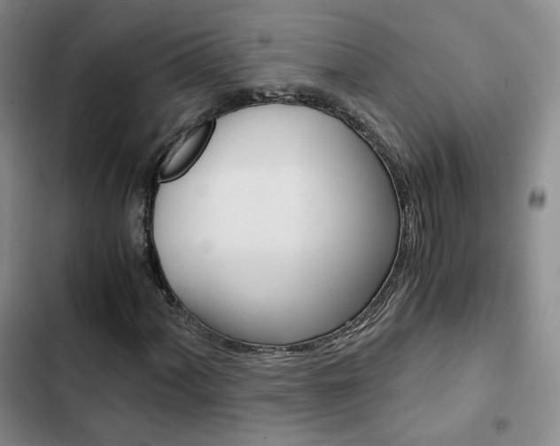 X0000103161060200808221146