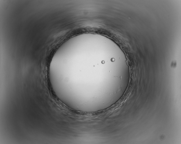 X0000103161061200808221146