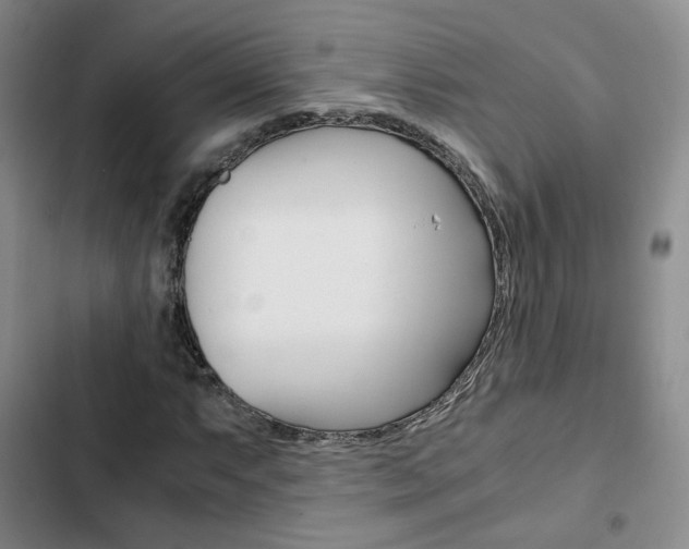 X0000103161063200808221146