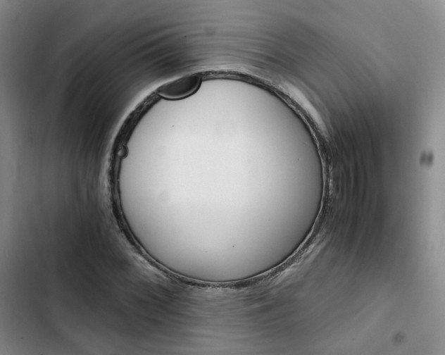 X0000103161068200808221146