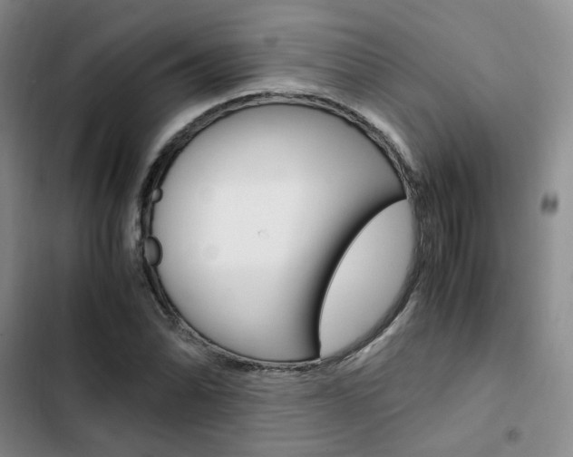X0000103161070200808221146
