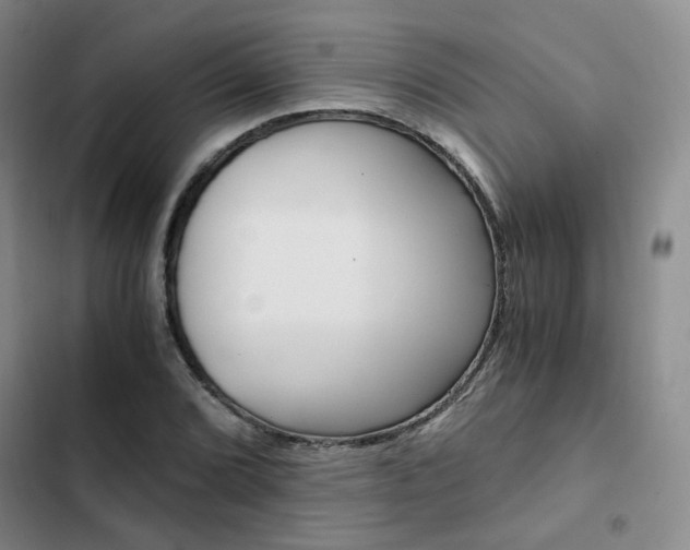 X0000103161072200808221146
