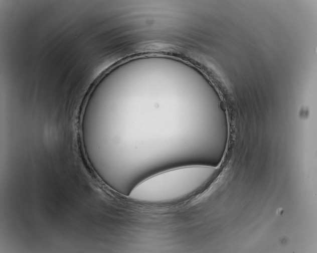 X0000103161073200808221146