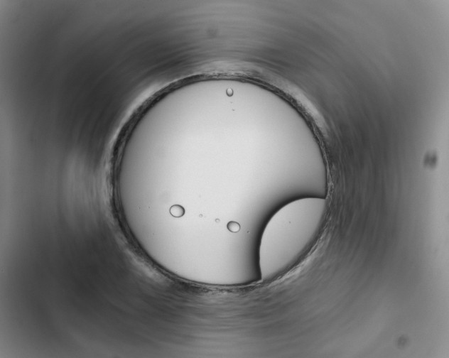 X0000103161075200808221146