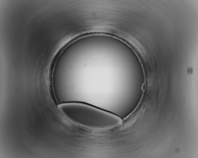X0000103161077200808221146