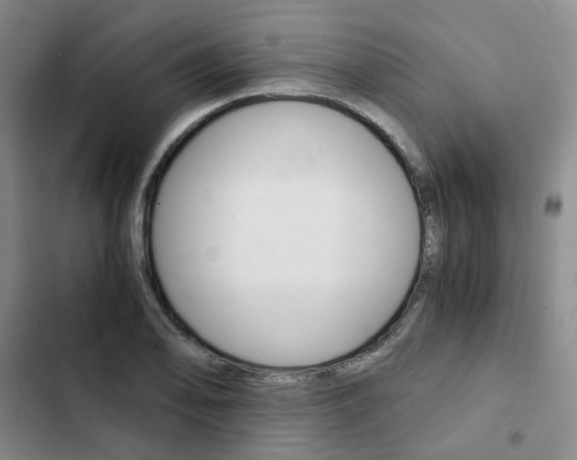 X0000103161078200808221146