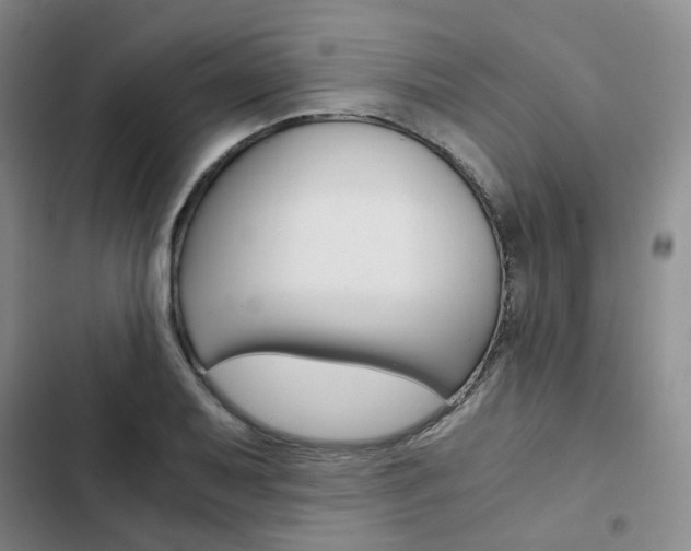 X0000103161079200808221146