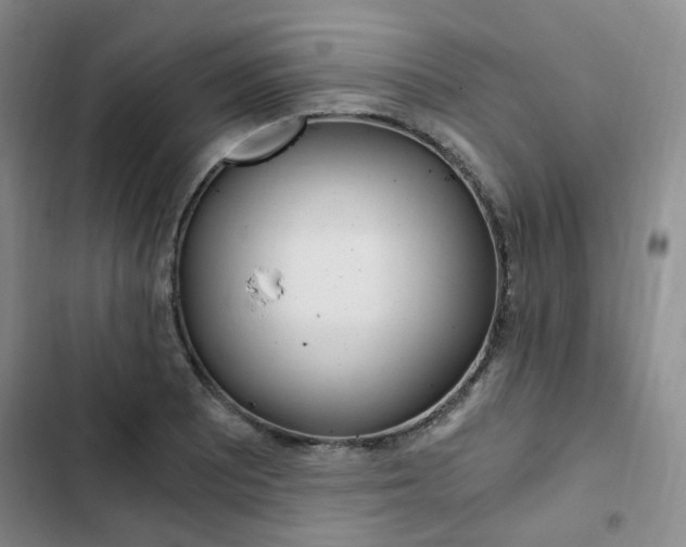 X0000103161081200808221146