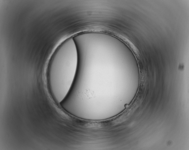 X0000103161083200808221146