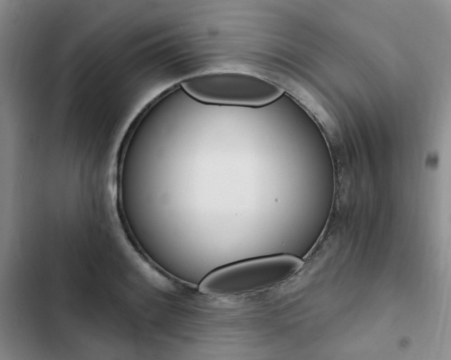 X0000103161084200808221146