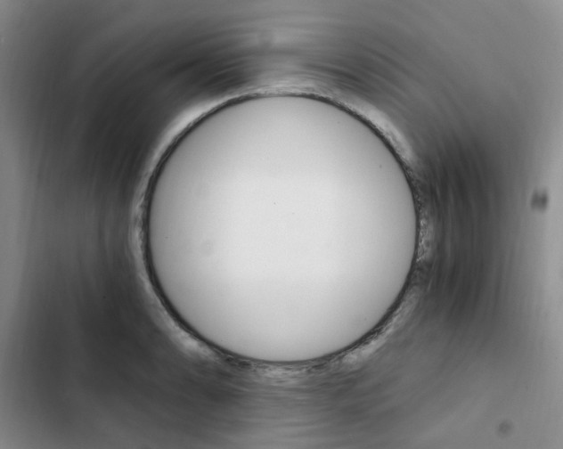 X0000103161086200808221146