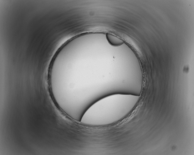 X0000103161087200808221146