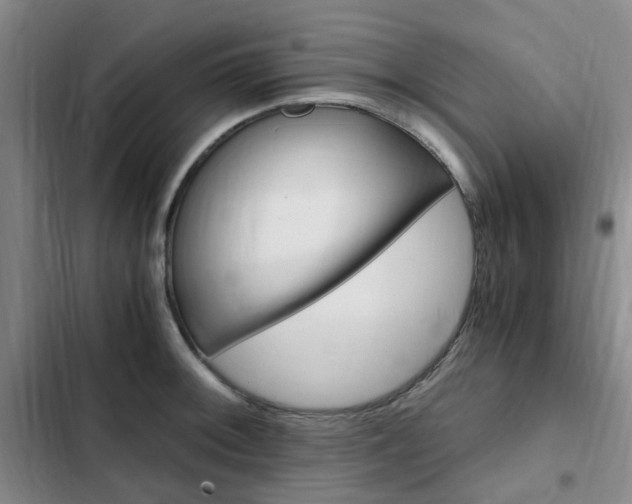 X0000103161092200808221146