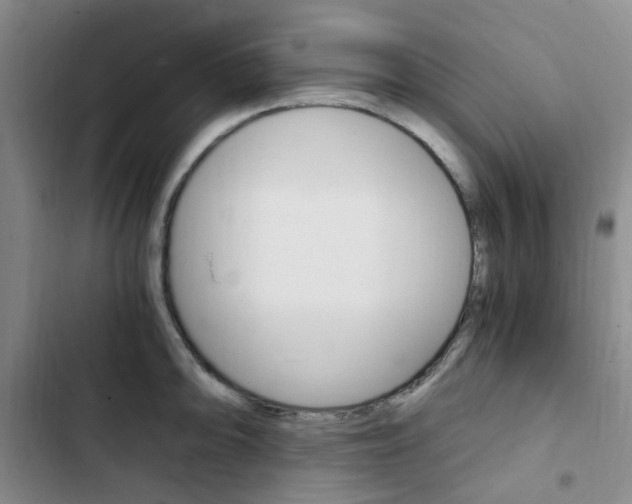 X0000103161094200808221146