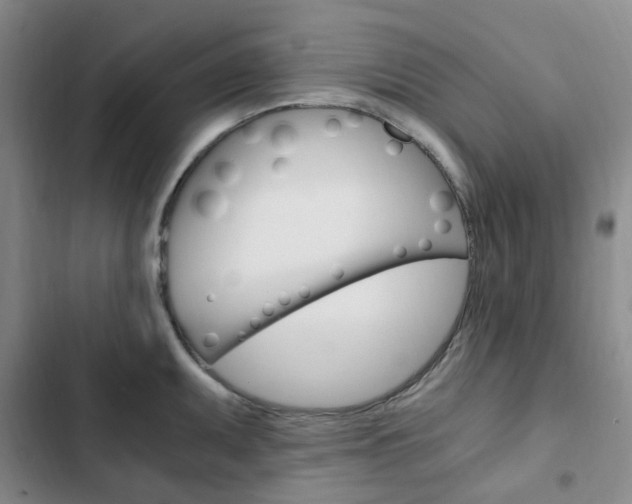 X0000103161095200808221146