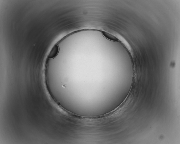 X0000103161096200808221146