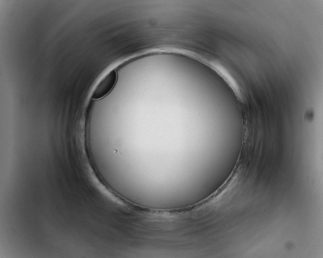 X0000103161100200808221146