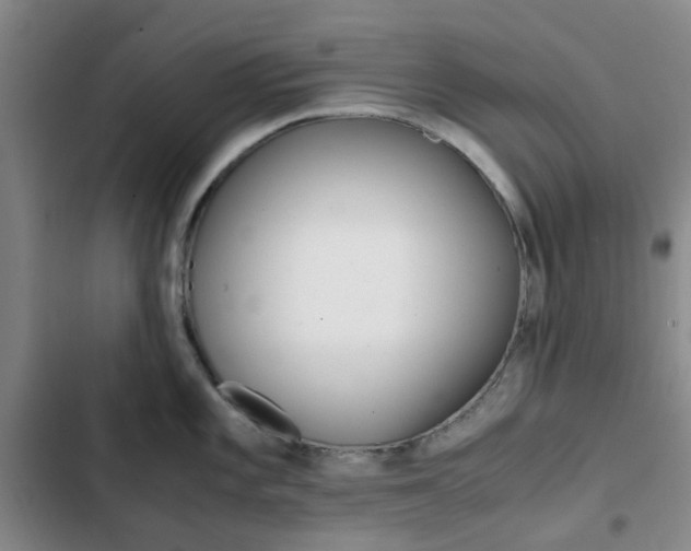 X0000103161101200808221146
