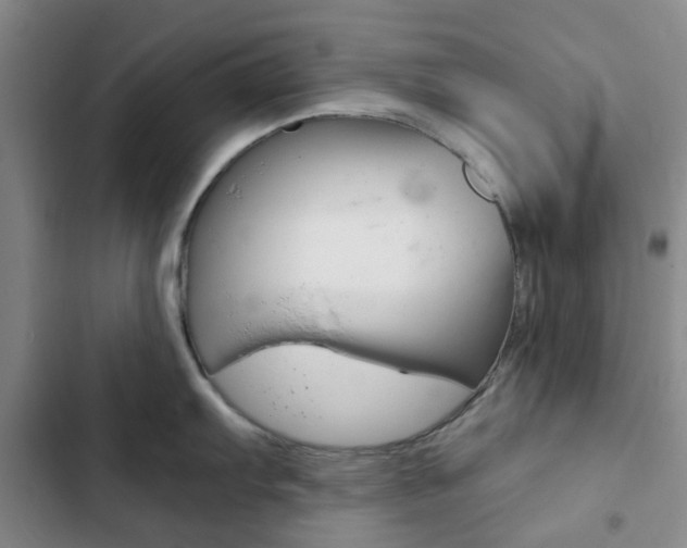 X0000103161103200808221146