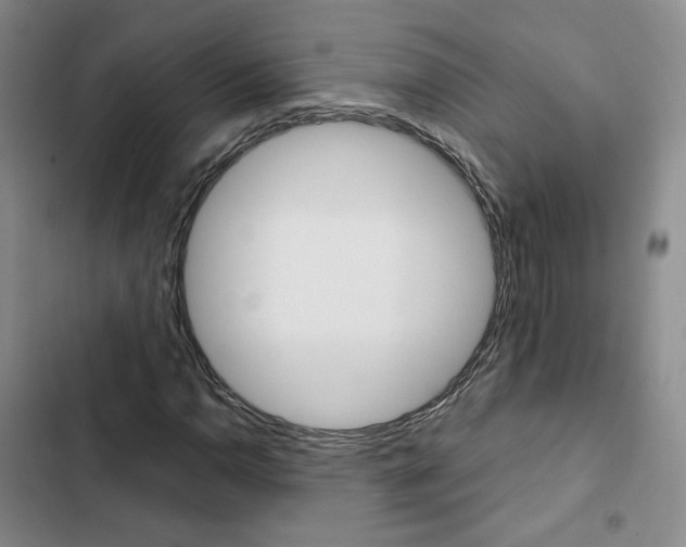 X0000103161110200808221145