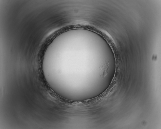 X0000103161112200808221145