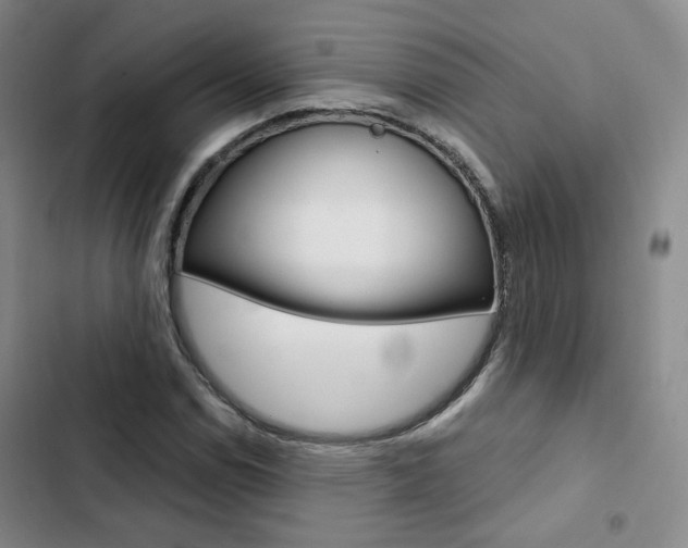 X0000103161114200808221145