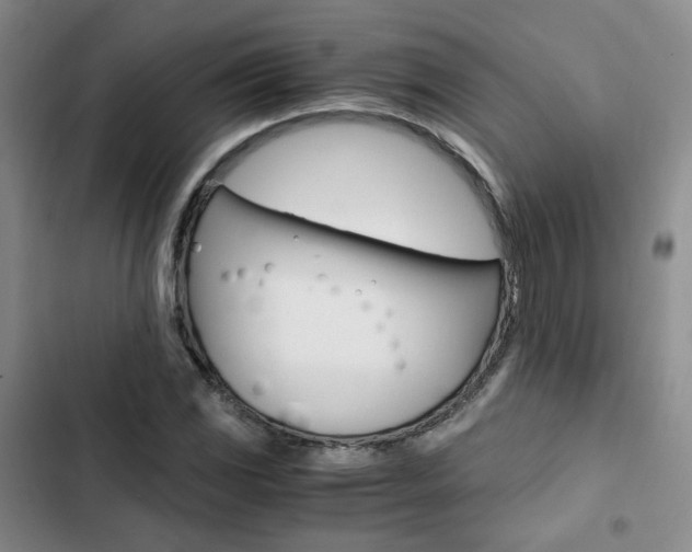 X0000103161117200808221145