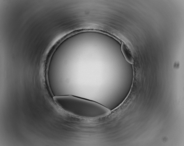 X0000103161120200808221145