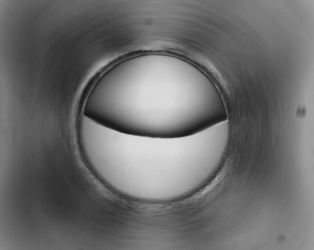 X0000103161122200808221145