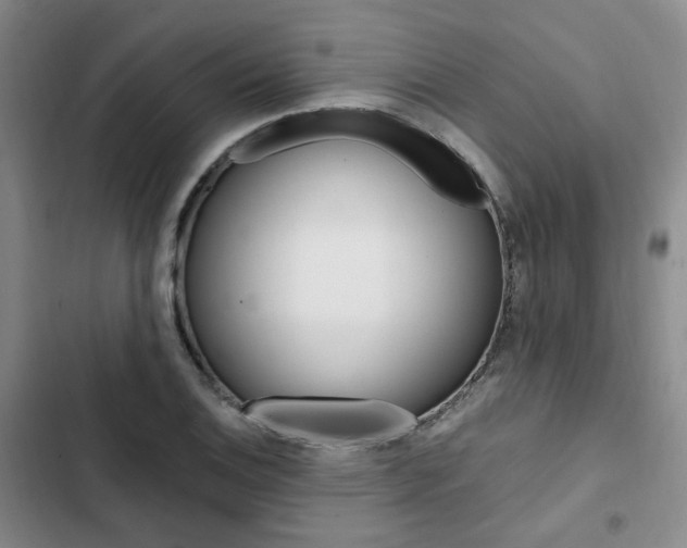 X0000103161124200808221145