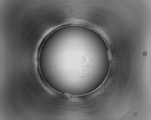 X0000103161128200808221145