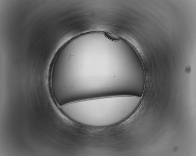 X0000103161135200808221145